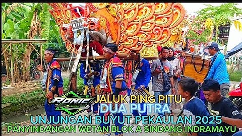 JALUK PING PITU _ DUA PUTRA _ UNJUNGAN BUYUT PEKAULAN PANYINDANGAN WETAN BLOK A SINDANG INDRAMAYU