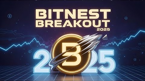 BitNest 2025: The DeFi Ecosystem Every Investor Should Know 💰