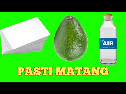 Cara Cepat Memeram Alpukat