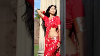 Dangerparam Sundarilaal Colour Ki Saree