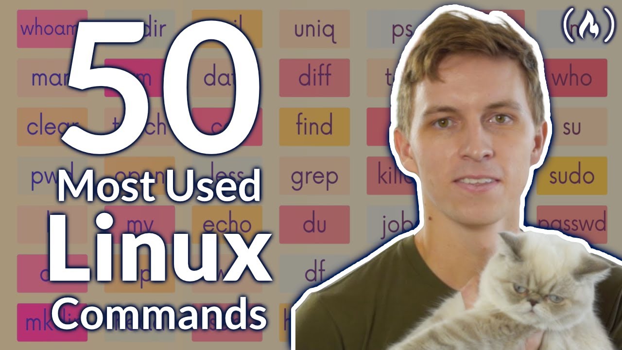 The 50 Most Popular Linux  Terminal Commands - Full Course For Beginners