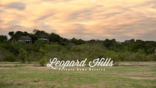 Leopard Hills - Sabi Sands Game Reserve