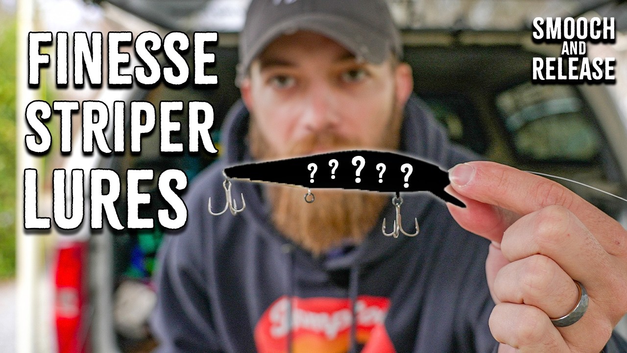 academy fishing lures hybrid striper Striped Bass Specialty  Animated Lure And the rocket 3 is the heaviest at 5.8oz Fishing Explained | Striper Fishing
