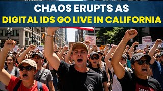 Download Lagu Digitale ID's zijn net live gegaan in Californië - wat ze u niet vertellen MP3 Download Lagu Digitale ID's zijn net live gegaan in Californië - wat ze u niet vertellen MP3