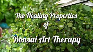Bonsai Art Therapy