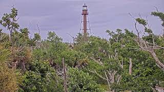 Sanibel Lighthouse Beach Live Webcam
