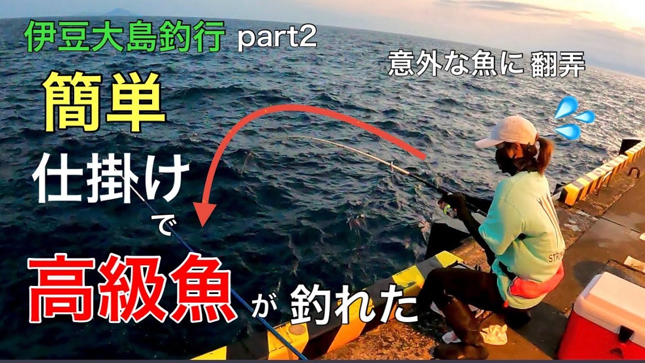 伊豆大島:堤防からの簡単仕掛けで高級魚が釣れました～part2～【其の拾伍】　　　　　#釣り #釣りガール #伊豆大島