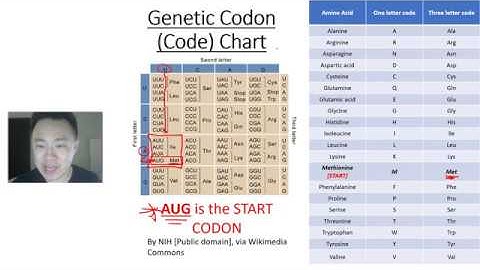Solving Transcription, Translation, Replication Problem Walk-through (Thorough)