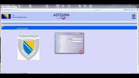 ASYCUDA World: Logging in