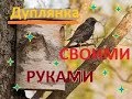 Скворечник с синичкой! "Артель братьев Спицыных"