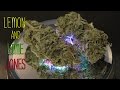 Lemon  lime jones marijuana monday strain review