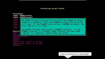Clarion Professional Developer 2.1 for DOS tutorial - 7C/16 - Language 3