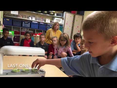 Skycrest Christian School:  First Grade AeroGardens