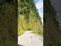 The journey through the mountains is as dangerous as it is beautiful.” ⛰️✨#likefornature #nature