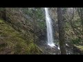 Plodda Falls VR