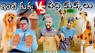 కకకల భట.. Part 1 Unbeatableculturevideounbeatableculture Comedyfunnyinformation