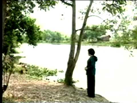 CÔ BÁN ĐÈN HOA GIẤY -- Lệ Thủy - youtube