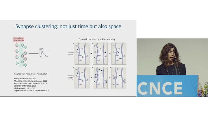 How dendrites can help advance machine learning and neuromorphic engineering (Panayiota Poirazi)