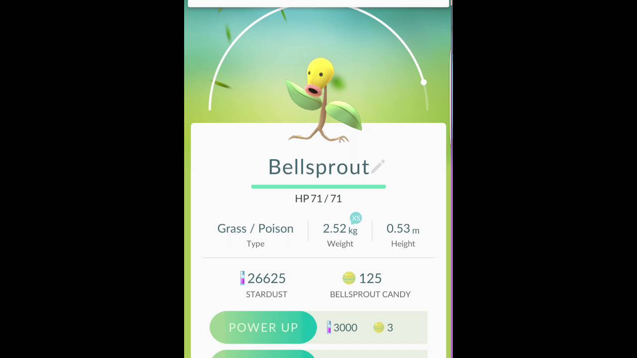 Pokemon Go. Bellsprout evolution - YouTube