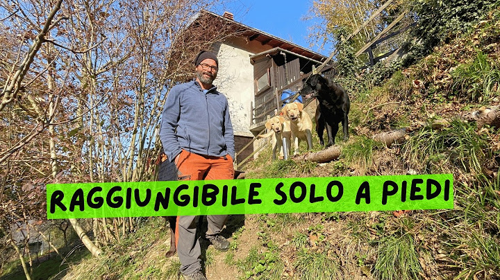 "Vivo in una piccola baita con 500€ al mese”