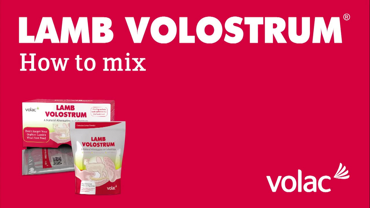 Lamb Volostrum – How to mix