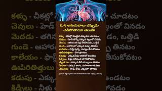 Warning Signs Your Body Gives Before a Heart Attack