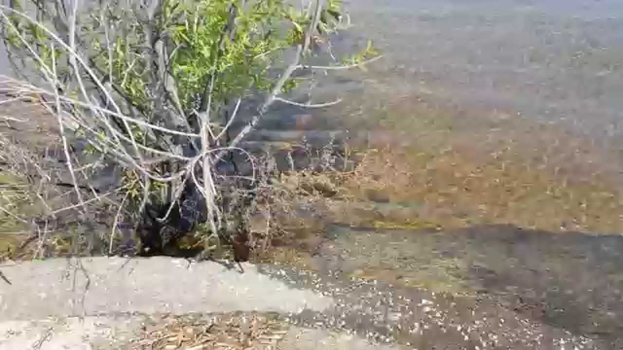 Eastlake Lake Chula Vista YouTube