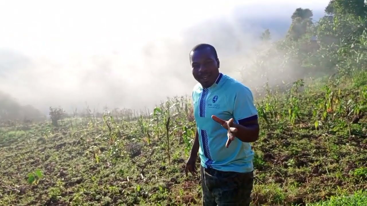 tobacco prevention measures Tobacco Control