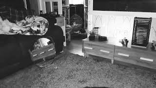 #Haunted #living room #camera @debrafinneyspiritorbs