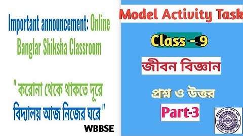 Class 9 Life science Model Activity Task Part-3 solution/Cls IX Life Science  Activity Task Part-III