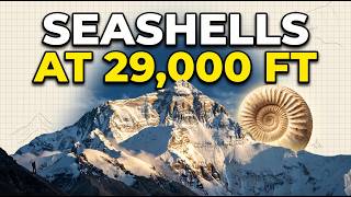 The Tethys Ocean Died to Build Mount Everest and Left Seashells at 29,000 Feet
