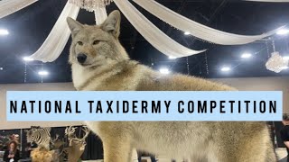 National Taxidermy Competition 2022  Showroom Walkthrough
