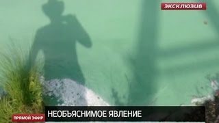 Видео Река Кунара под Богдановичем приобрела ядовито-зелёный цвет (автор: ОТВ Екатеринбург)