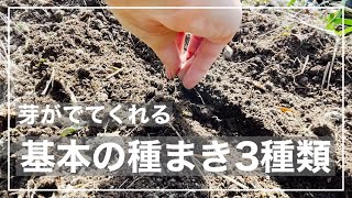 #015 【種のまきかた】芽がでてくれる基本の種まき3種類