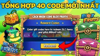 Tổng Hợp 40 Code Blox Fruit Mới Nhất Nhận X2 EXP Và Trái Dragon Miễn Phí Còn Sử Dụng Được Nha