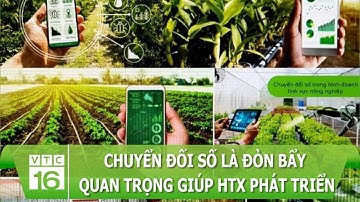 Chuyển đối số là đòn bẩy quan trọng giúp HTX phát triển | VTC16