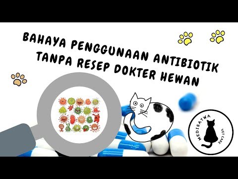 Video: FDA Meluluskan Ubat Baru Untuk Mengubati Kebisingan Pada Anjing