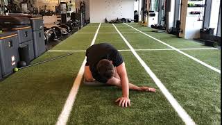Quadruped Cross Body Lat. Stretch