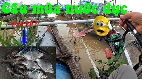 🦐Fishing 102🐟 Câu Tôm, Cá Dảnh Khủng Phê Thật Sau Lần Nghỉ Dịch 🐟