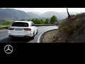 Mercedes-AMG E 63 S 4MATIC  Estate – Trailer – Mercedes-Benz original