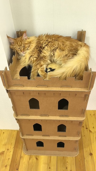 артикул на Вайлдберриз 230036710 #домикдлякошки #cat #котики #кот # ...