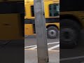 neobus Thunder midi escolar on 104