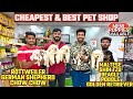 Best original pet shop in hyderabad  best price  new puppies available  pure breed  buy dogs