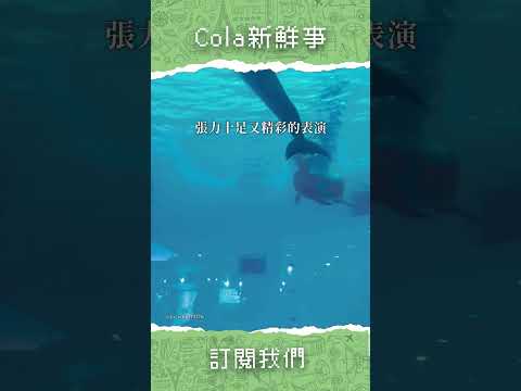 【可樂旅遊｜日本九州】震撼十足的福岡「海之中道水族館」！