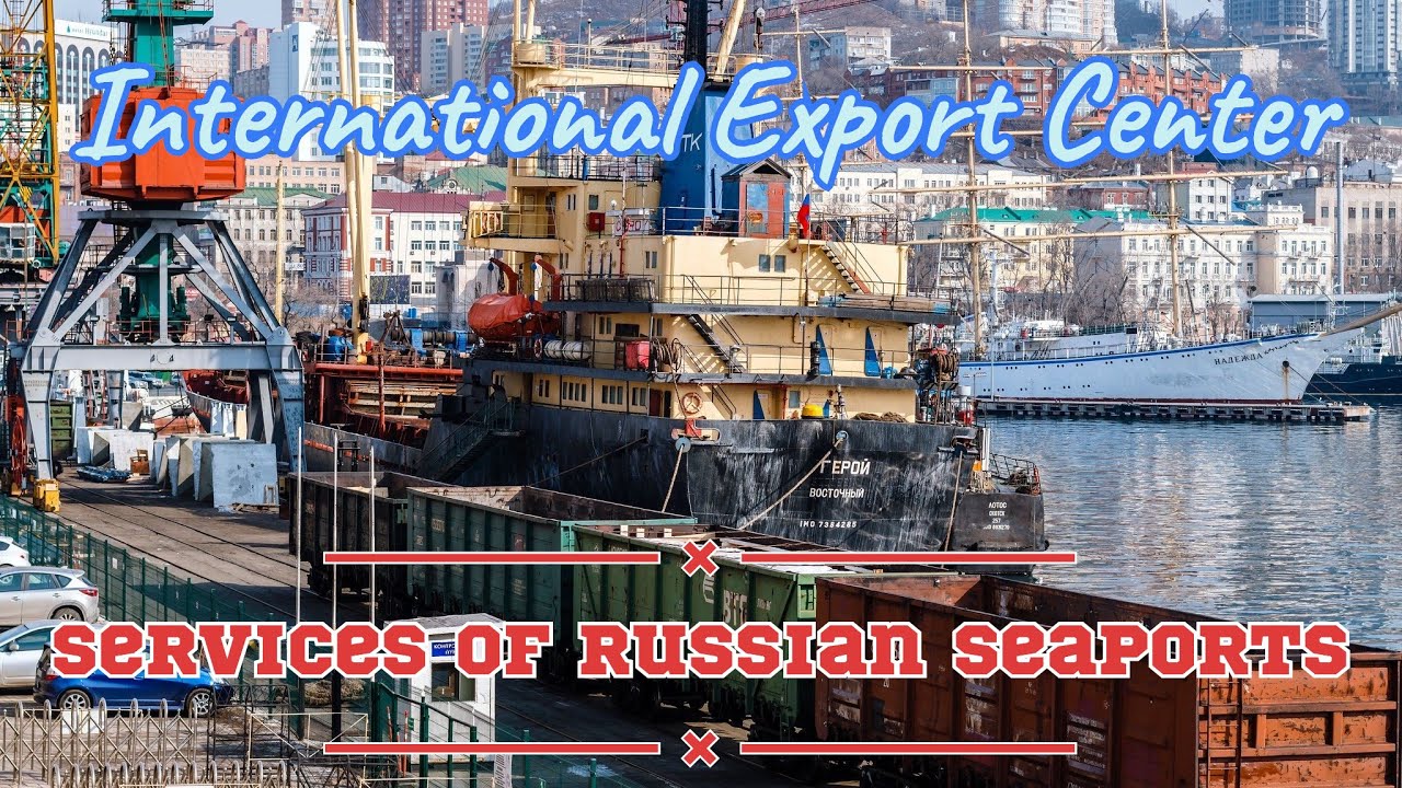 Cargo Seaport. Marine Logistics. Transshipment. Port.