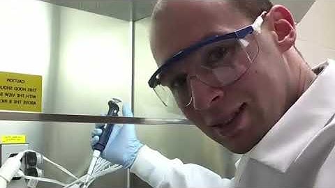 Part 2. Preparation of Lipid Droplets Cell Culture