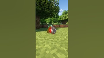 #minecraft Why Dropped Items Disappear