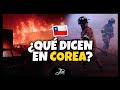 INCENDIO EN CHILE. ¿QUÉ DICEN LOS MEDIOS COREANOS?