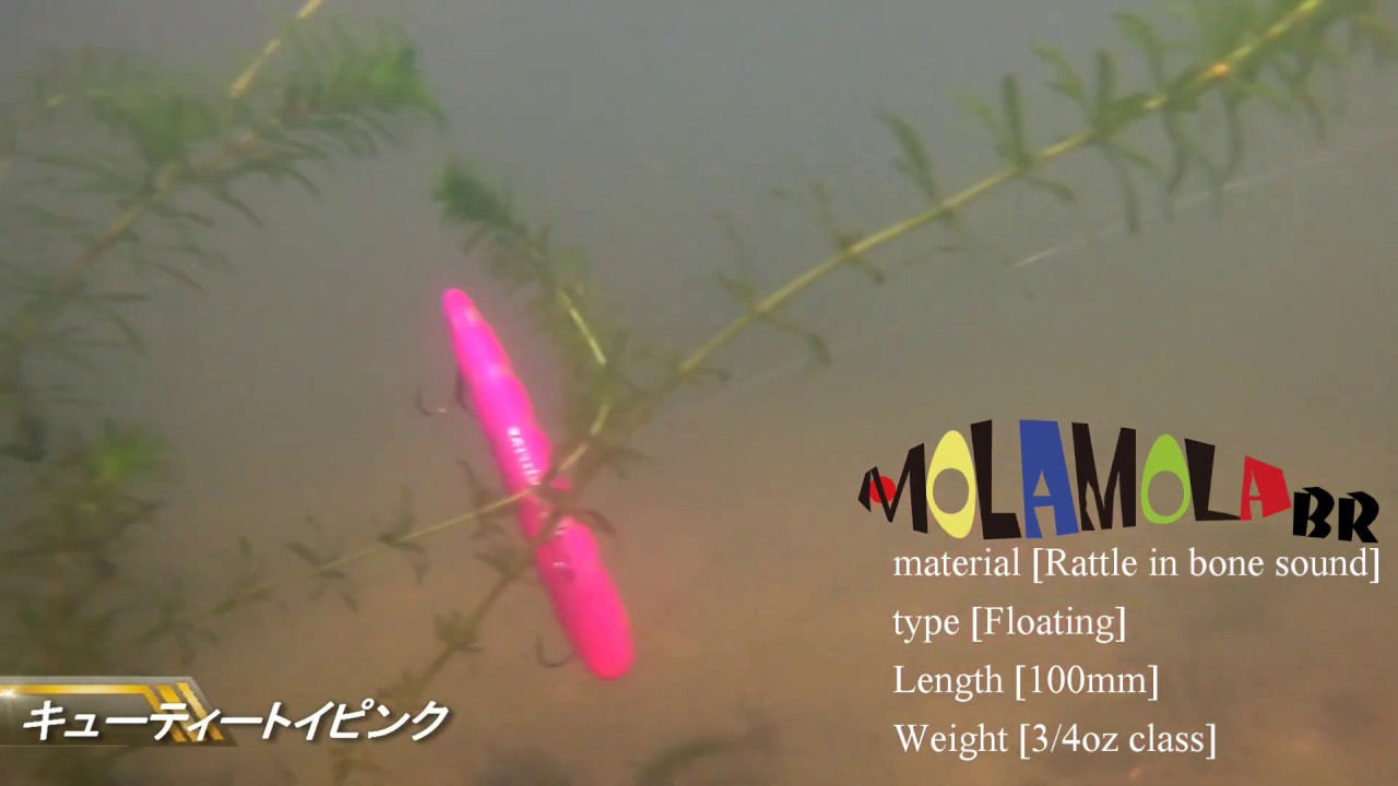 MOLAMOLA BR（ボーンラトル）PV