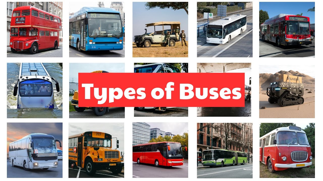 Автобусы для детей 🚍 Учим названия автобусов | Школьные, Электро, Двухэтажные, Скорая помощь